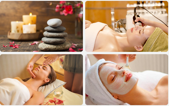 Nội dung khoá học